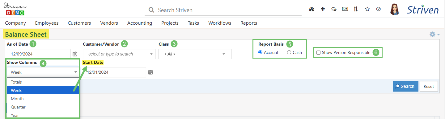 Balance Sheet filter options showing As of Date, Customer/Vendor, Class, Show Columns, Report Basis, and Person Responsible