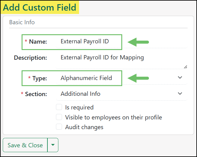 Add Custom Field page adding the External Payroll ID field as an Alphanumeric Field type