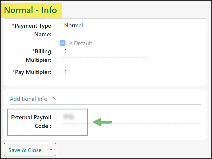 Example of a Pay Type Custom Field for Payroll