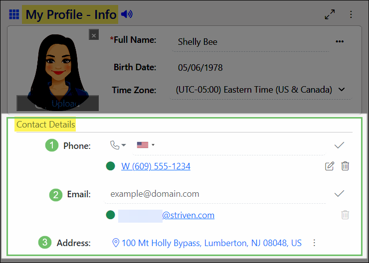 Image displaying the contact details panel of the my profile - info page in striven, including phone info, email info, and address info