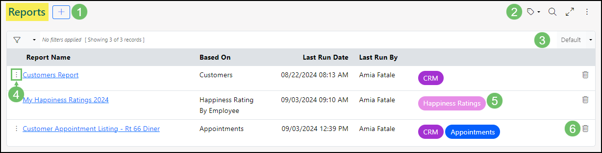 Image of the Reports page within Striven